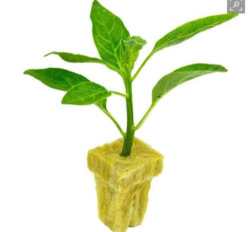 Rock Wool Grow Blocks Cubes/Angricultural Hydroponics Rockwool for Plants