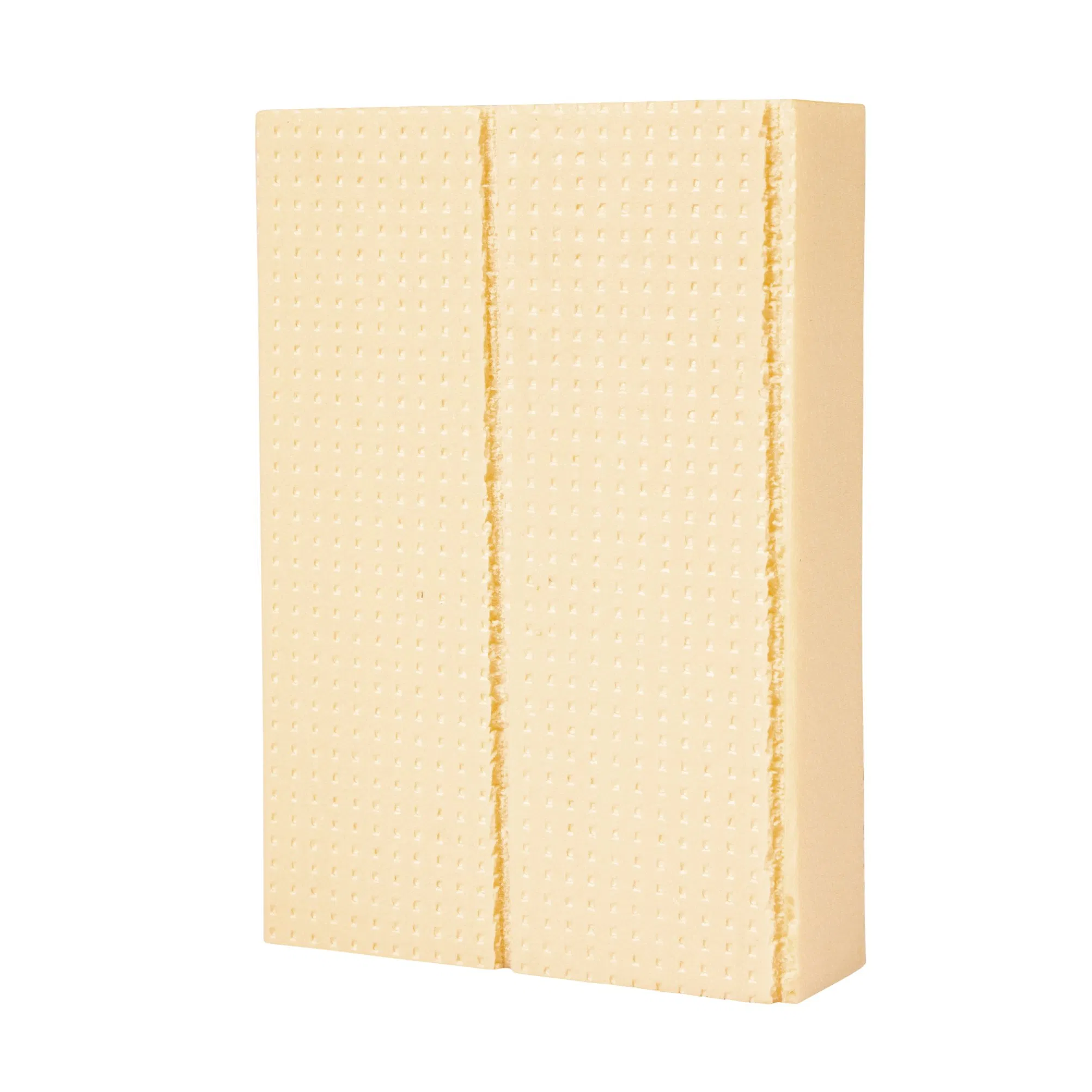 Premium XPS Insulation Board for Energy Efficient Ceiling Solutions