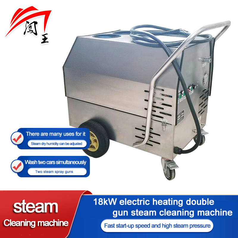 Industrial Highly Efficient Heavy Duty Electric Steam Cleaner Machine Heavy Duty