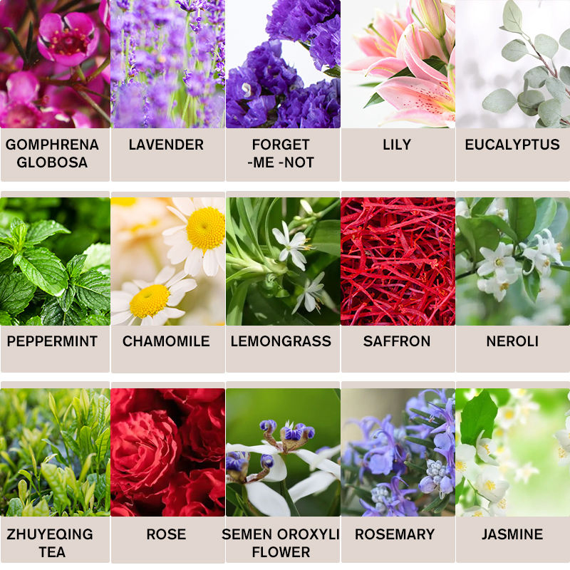 Steam Distilled Thyme Essential Oil Natural for Respiratory Support and Immunity Boost Wholesale