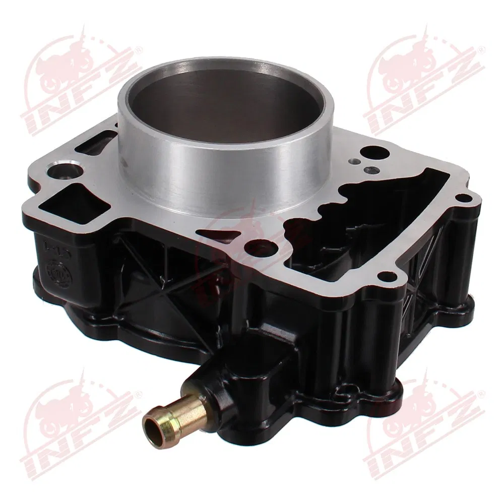 Infz Motorcycle Engine Block Cylinder Kit for Bajaj Pulsar 200NS, Discover 125, BM100, CT100