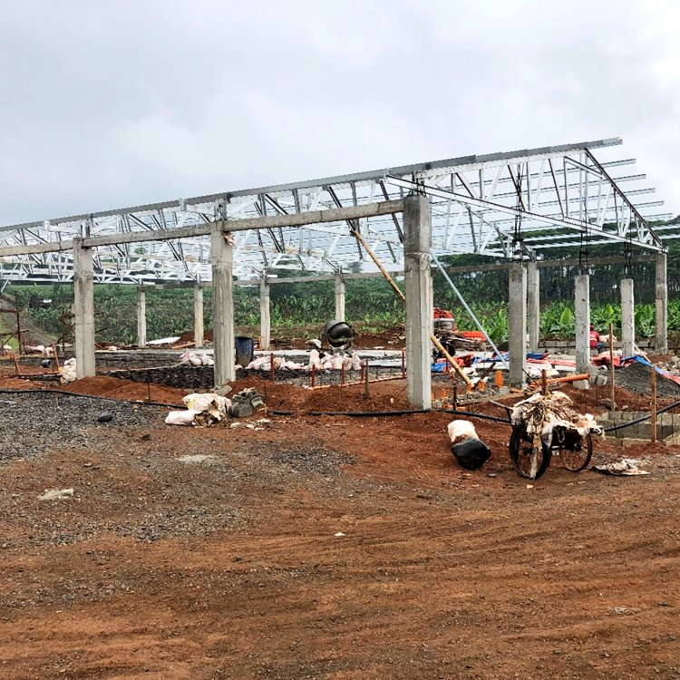 Cheap Construction Prefabcated Building Chicken House Poultry Farm House