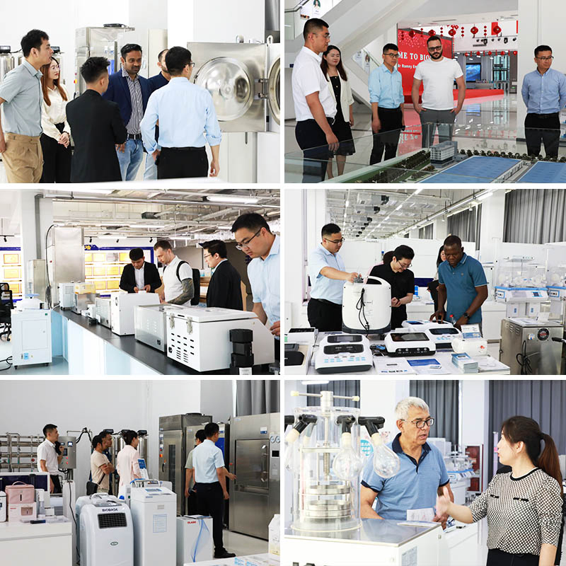 Biobase China Home Dehumidifier for Lab with Active Carbon Filter Bkdh-820e