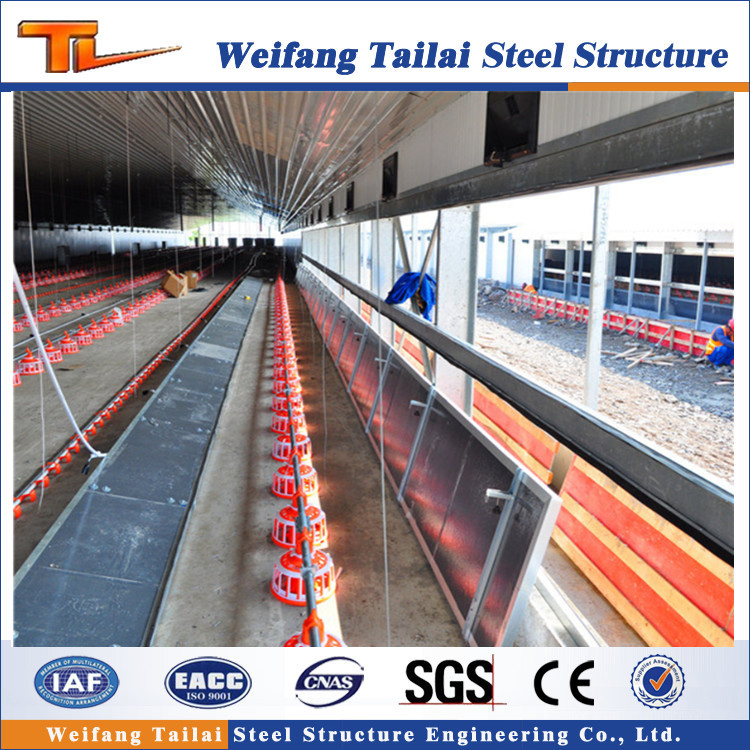 Low Cost Steel Frame Structure Prefab Poultry Farms Building