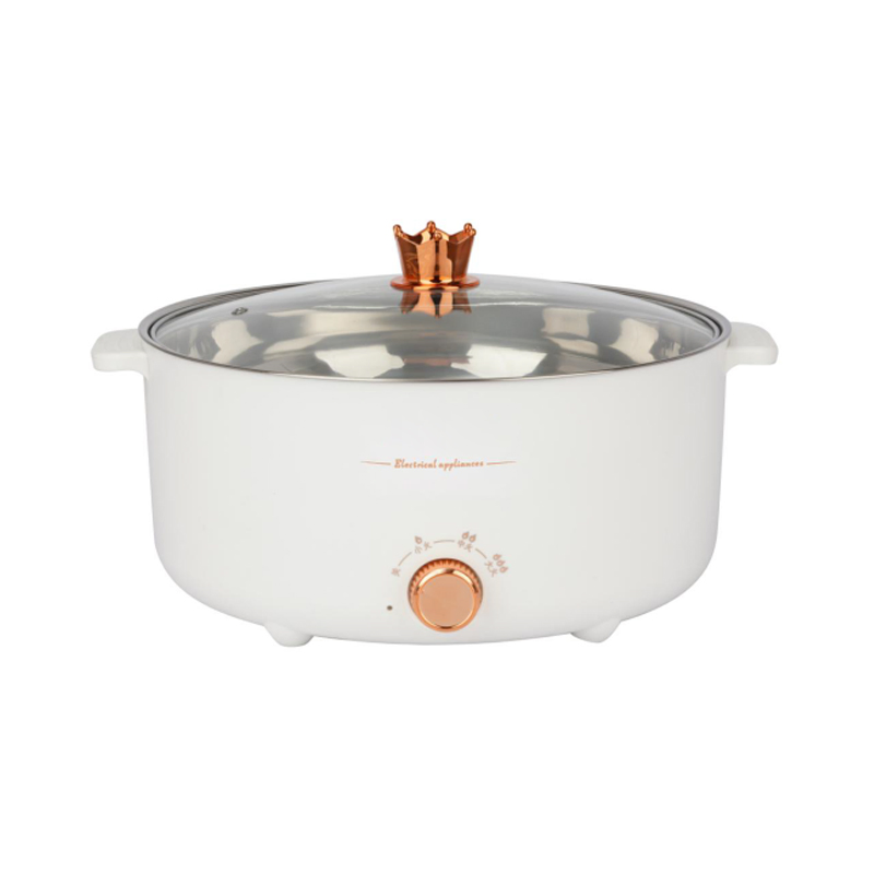 Fast Cooking Electric Multi Cooking Pot Multiple Electric Hot Pot Cooker Non Stick Frying Pan Electric Cooker Pot