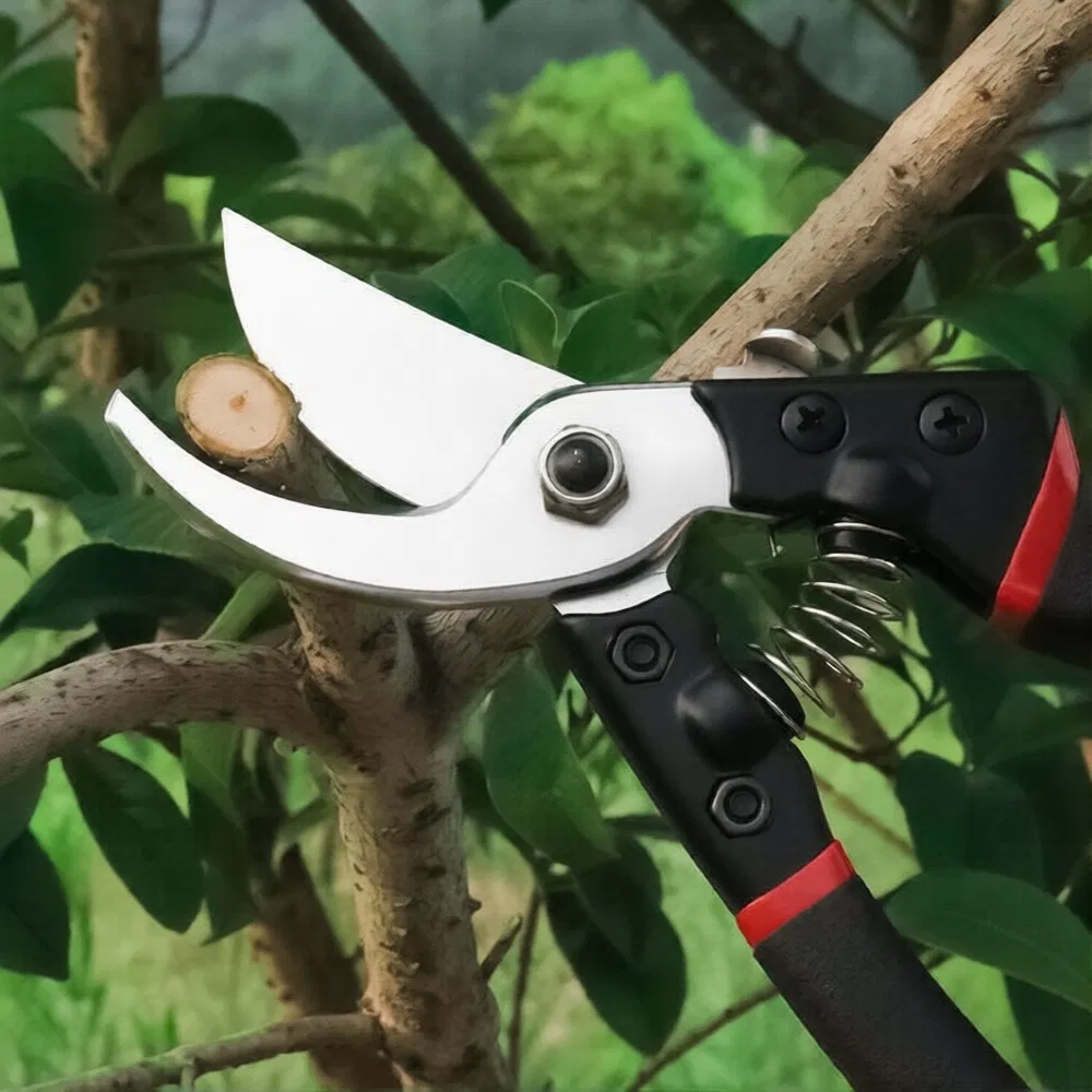 Professional Bypass Pruning Shears Garden Secateurs for Fruit Trees and Flowers