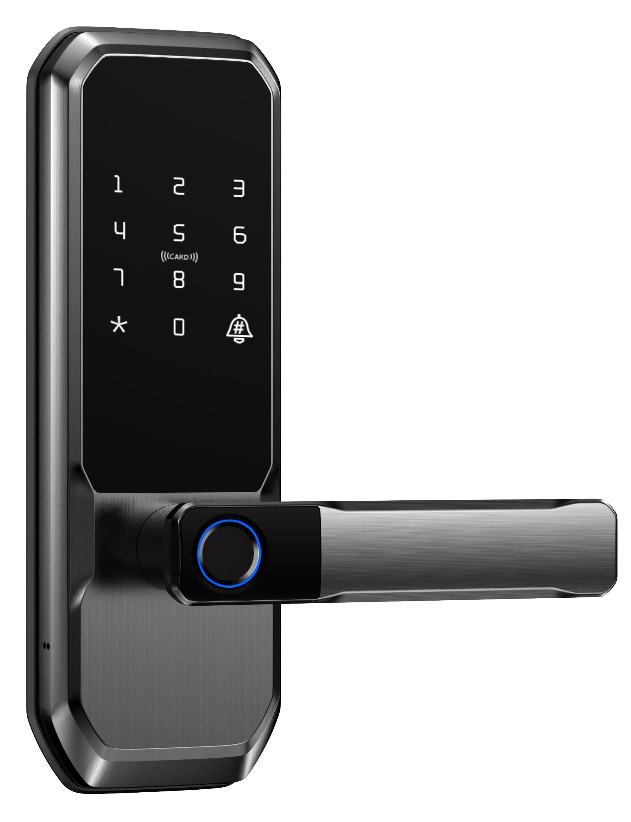 Deadbolt Smart Door Lock Dl-30V