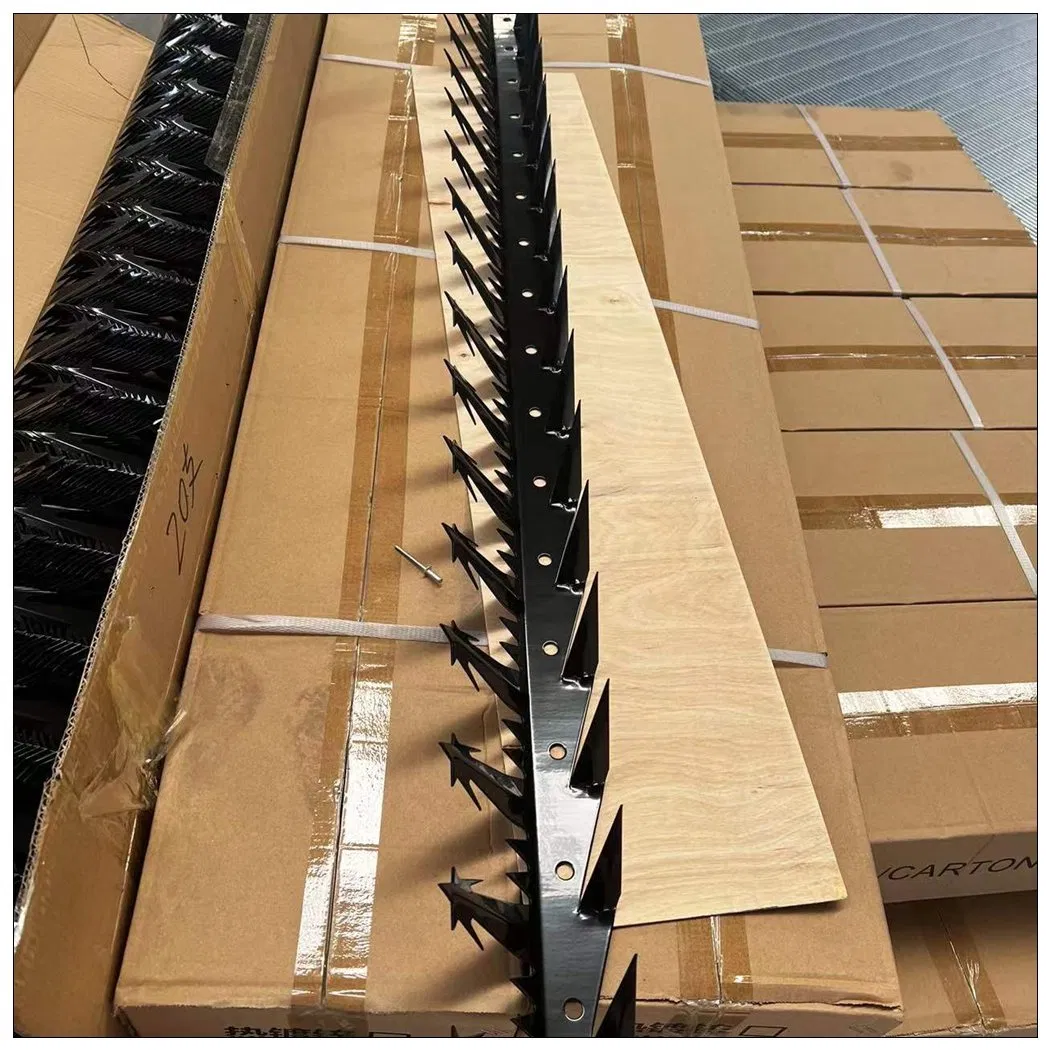 Hot Dipped Galvanized PVC Coating Wall Spikes