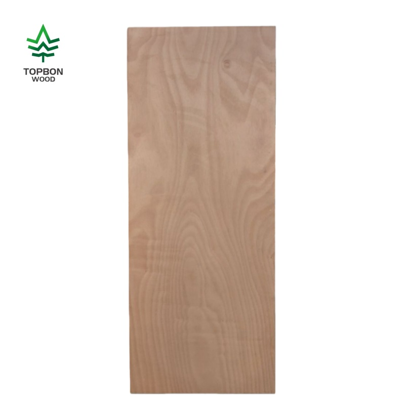 Modern Design Styles Sapele Veneer Plywood Flush Interior Door for Door