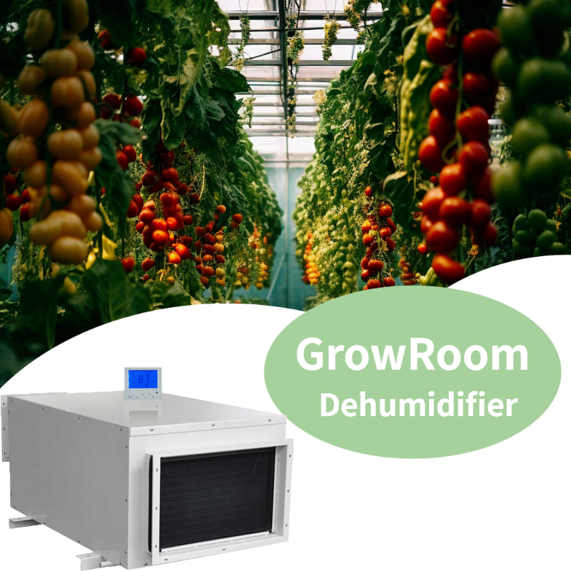 Advanced Ceiling Mounted Dehumidifier for Commercial Greenhouse Use