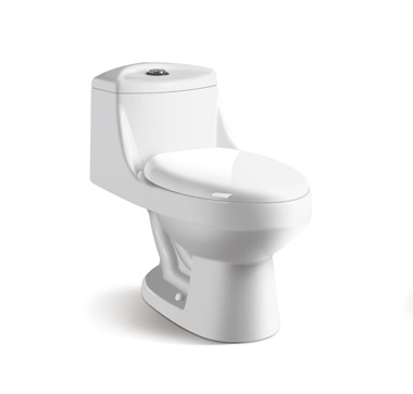 316 Siphonic Ceramic One Piece Toilet, Inodoro, Sanitarios, Banos Collection