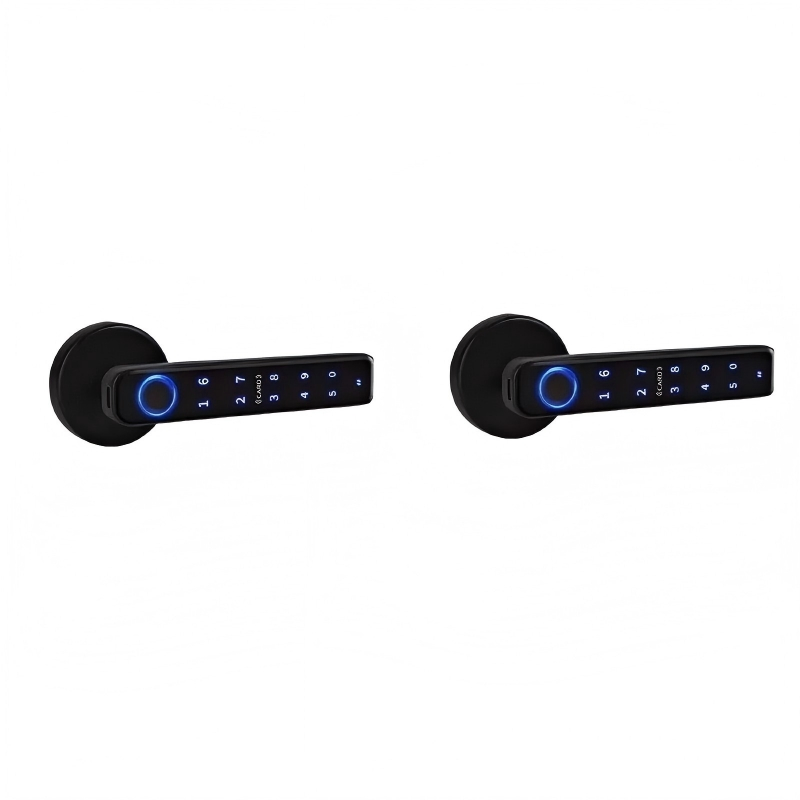 Smart Fingerprint Door Handle Lock with Keypad and Bluetooth Access