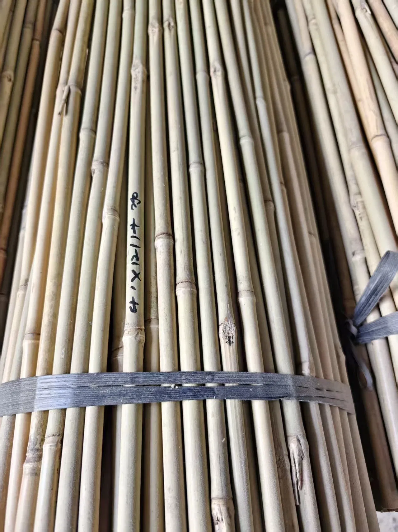 High Quality Nature Bamboo Cane Stake Dia. 22-24mm X 180cm for Plants Grow