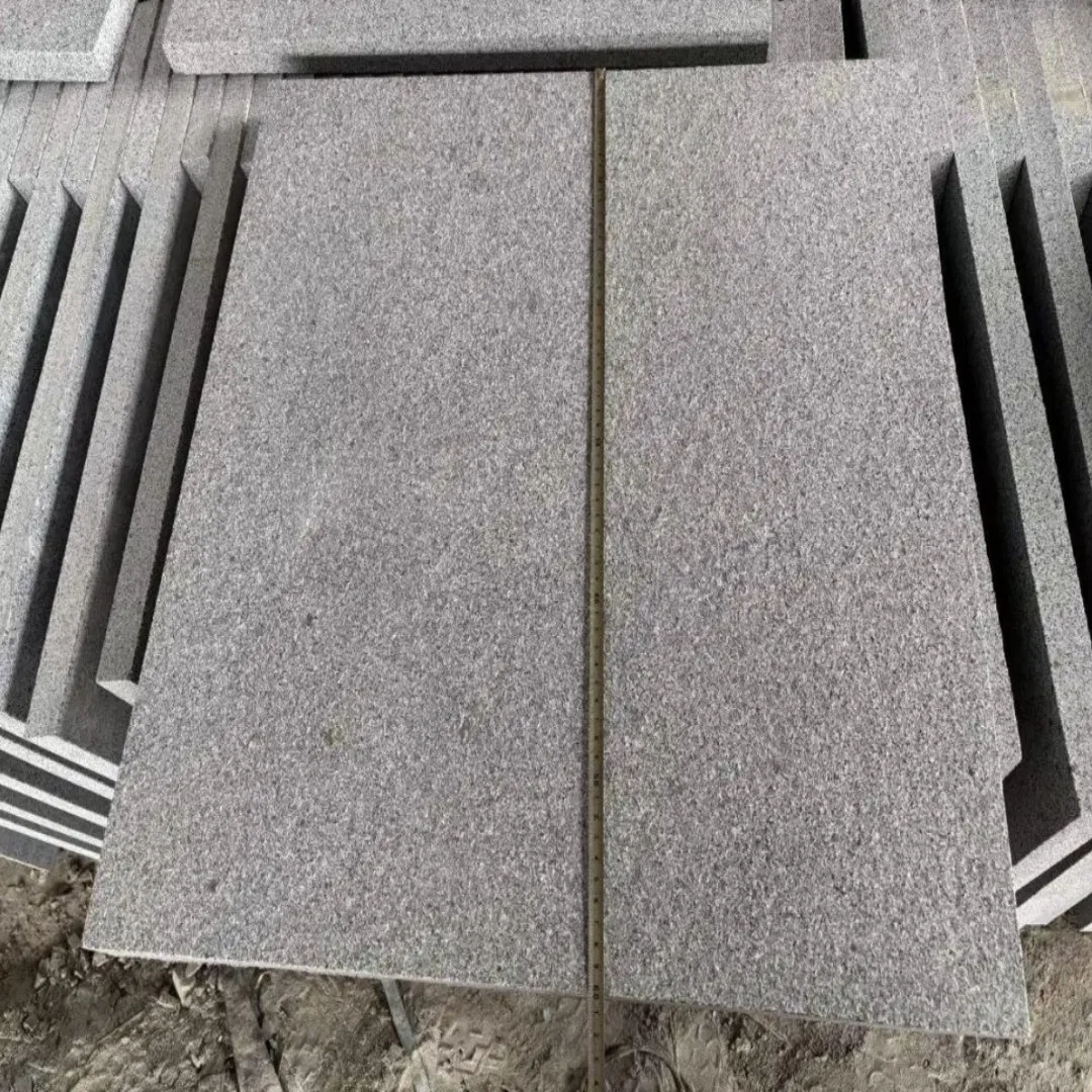 Pari Granite Original G654 Natural Stone Decoration Material 600*600*30mm for Swimming Pool Coping/Floor Tile/Wall Tile