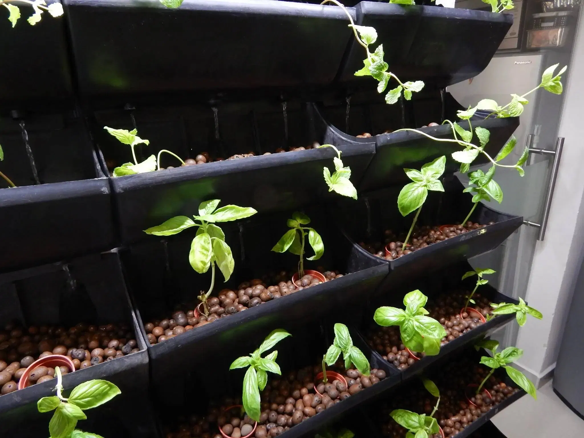 Hydroponics Media Plant Growing Media 8-16 mm Expanded Clay