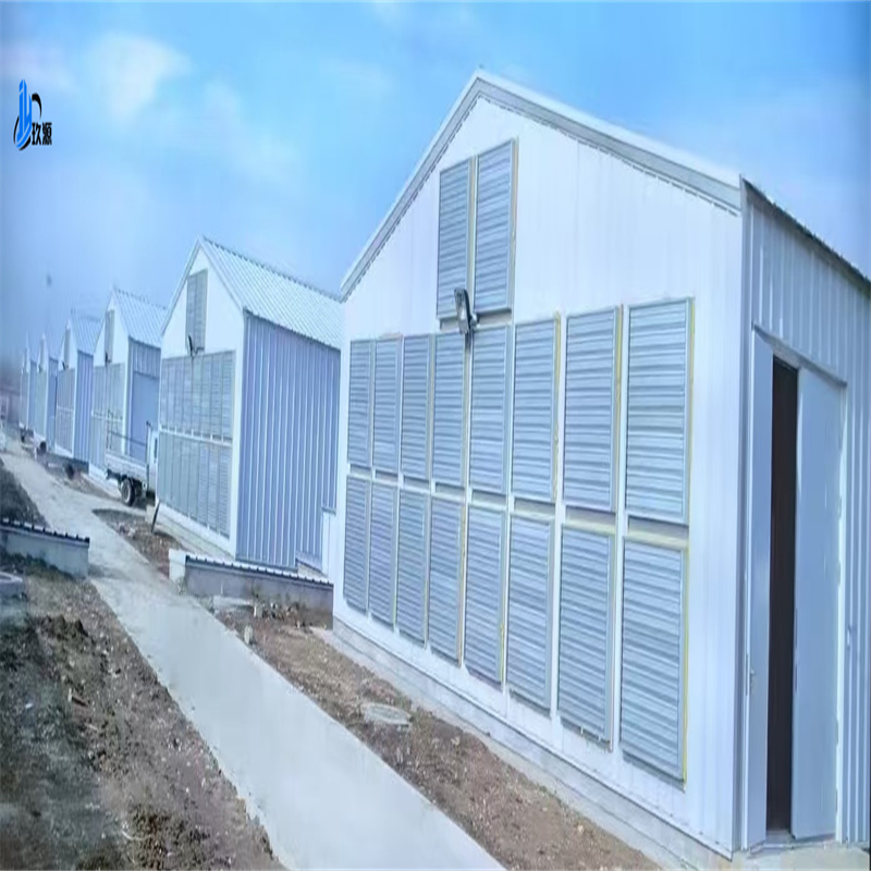 Structured Construction of Chicken Farms, Prefabricated Houses for Poultry, Broiler Farming, Full-Function Chicken House Facilities and Accessories
