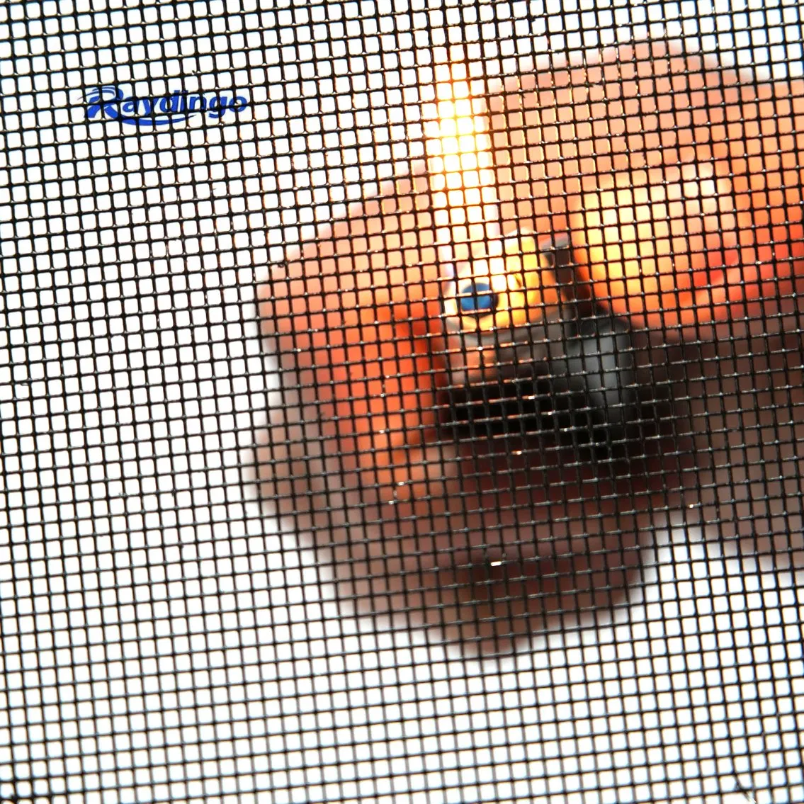 Fireproof 304 316 Stainless Steel Security Window Screen