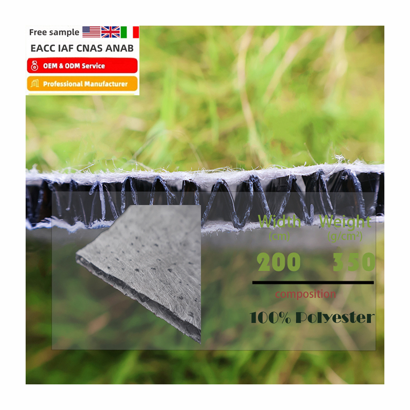 Waterproofing Geonet Made of Geocomposites for Long-Lasting Performance.