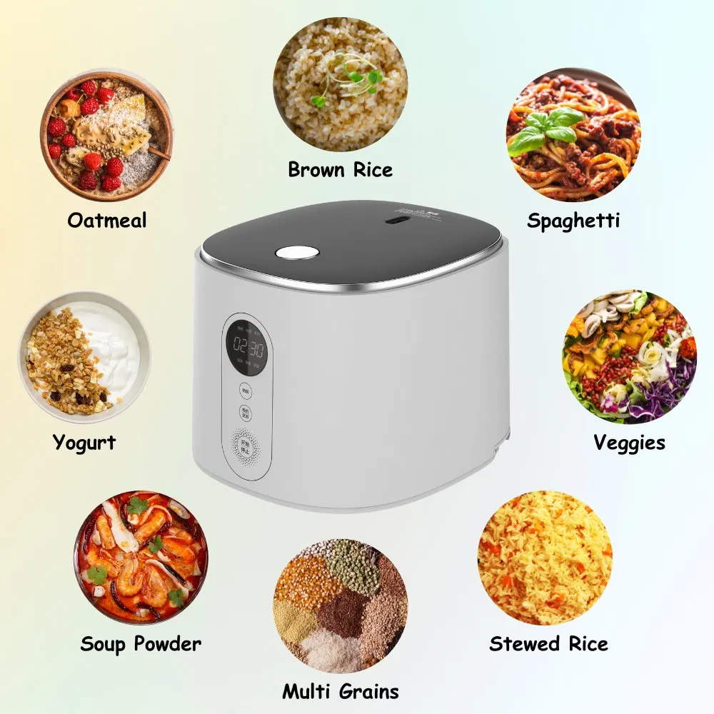 Low Sugar Rice Electric Cooking Machine Cooker 3L Mini Size