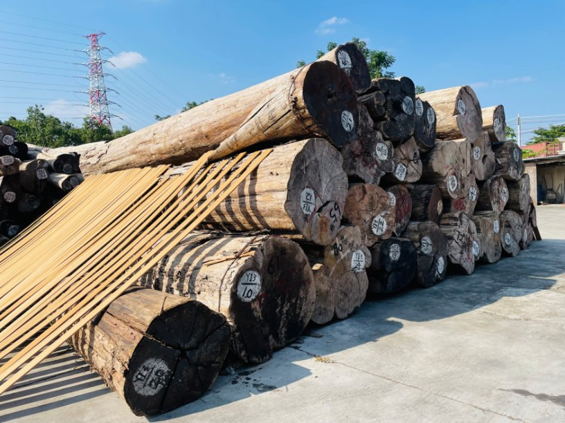 Imported Teak Logs From Myanmar That Are Not Easily Deformed or Cracked
