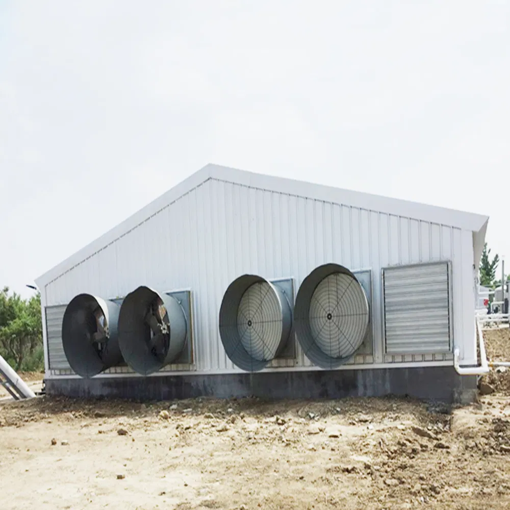 Galvanized Poultry Steel Frame Structure Chicken Farm House