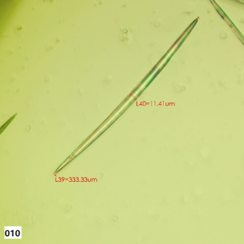 Raw Material of Cosmetic Hydrolyzed Sponge No. 010-330μm-99% Spicule for Skin Care/Anti-Wrinkle/Whitening