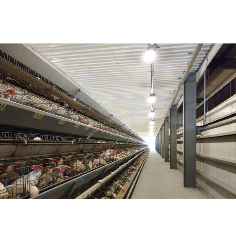 Prefabricated Quick Install Light Metal Frame Structure Design Automatic Construction Chicken Coop Broilers Layers House Poultry Farm Shed