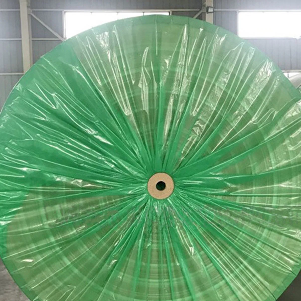 350GSM Yellow Colour Gypsum Sheathing for Building