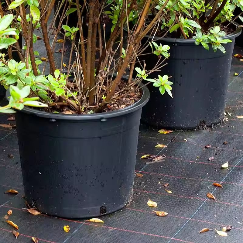 Пластиковые цветочные горшки Huajin от 1 до 25 галлонов