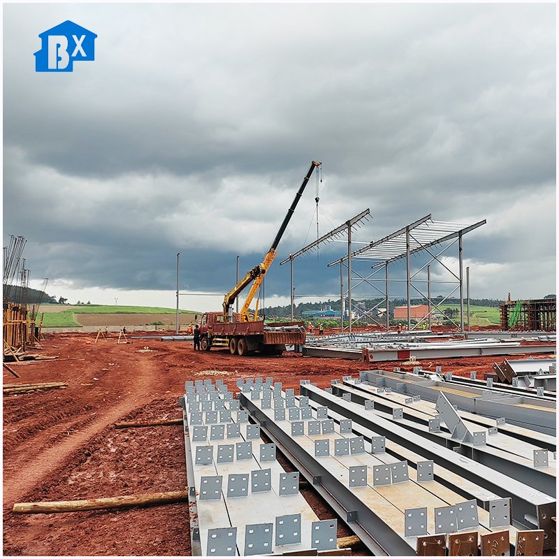 Custom Dimensions Workshop: Tailored Solutions for Your Unique Space Needs Unique Plant Arrangements: Custom Dimensions Workshop Experience for Green Thumbs