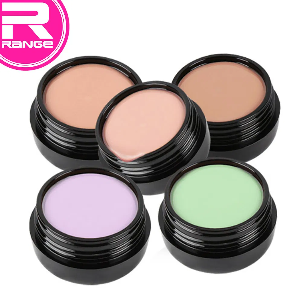 Professional Full Coverage Corrective Concealer Makeup Foundation Cream