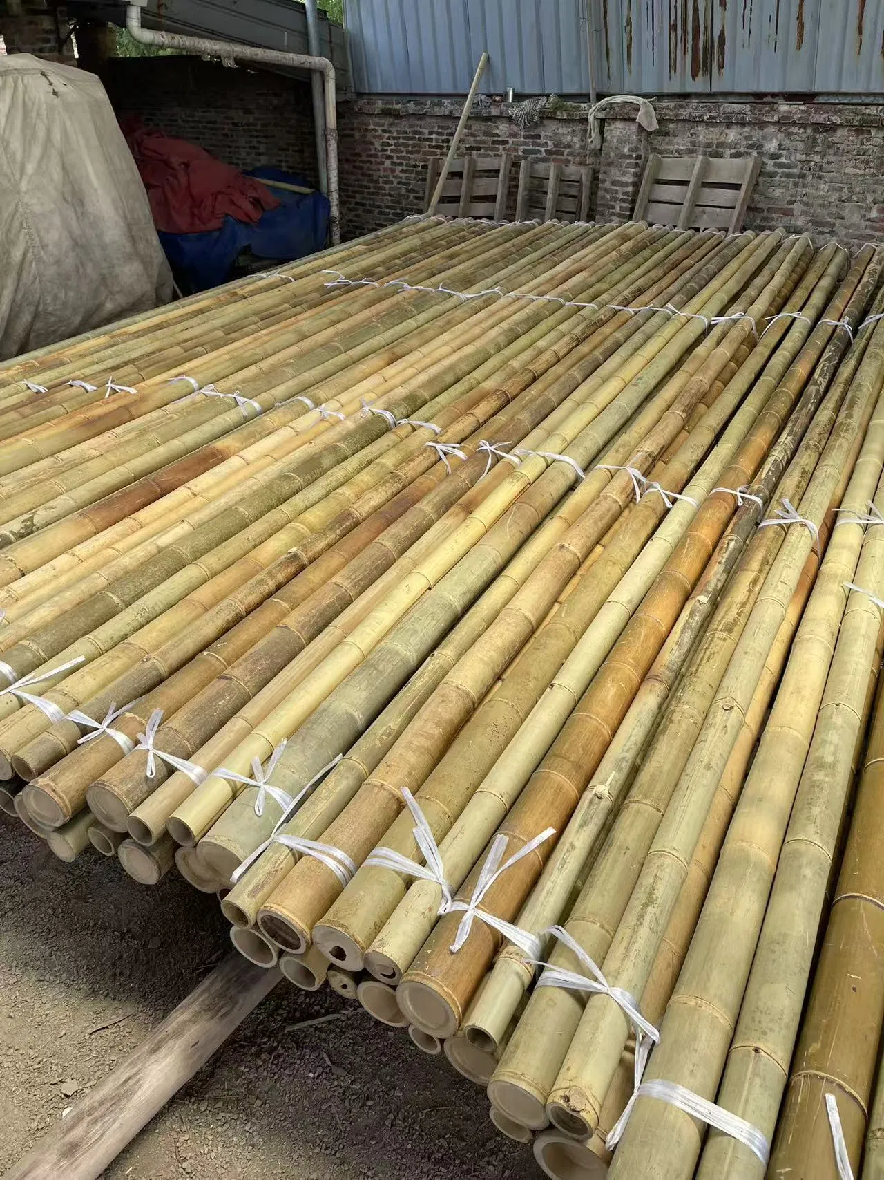 Premium Bamboo Poles for Plant Support High Quality Bulk Wholesale