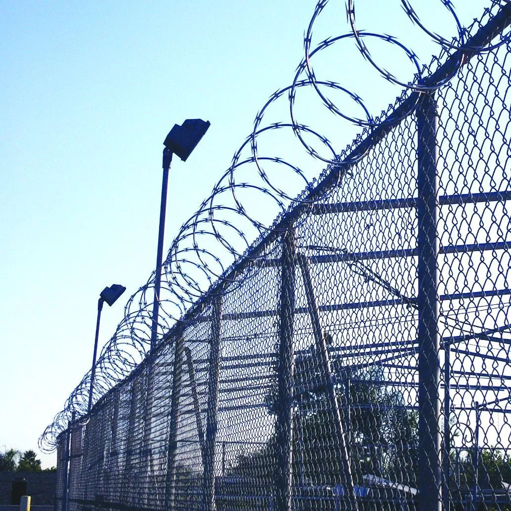 Wholesale Airport Fence Anti Climb 358 Fence Security Fencing Wall Fence for Airport Guardrail