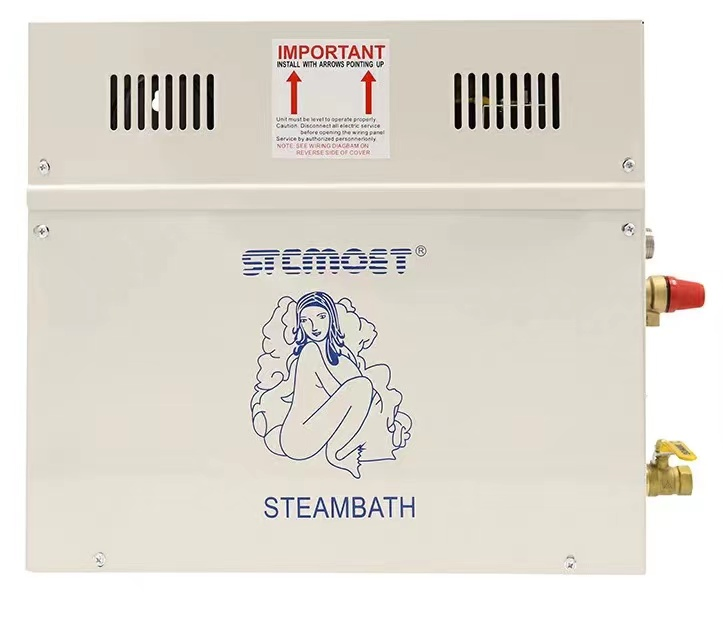 Wet Steam Shower Room Use Family 4.5kw-18kw Sauna Steam Bath Machine