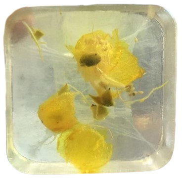 Radiant Chamomile Flower Soap Glow Facial Cleansing Soap