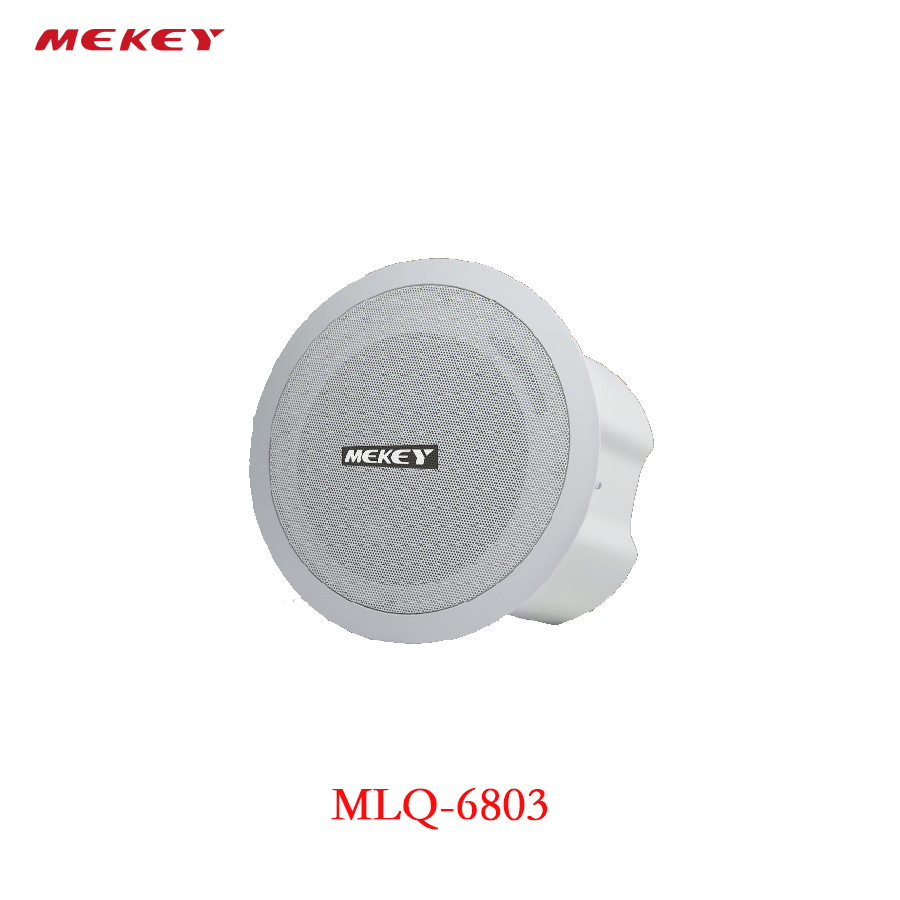 Динамик Dynamic Audio с широким диапазоном частот