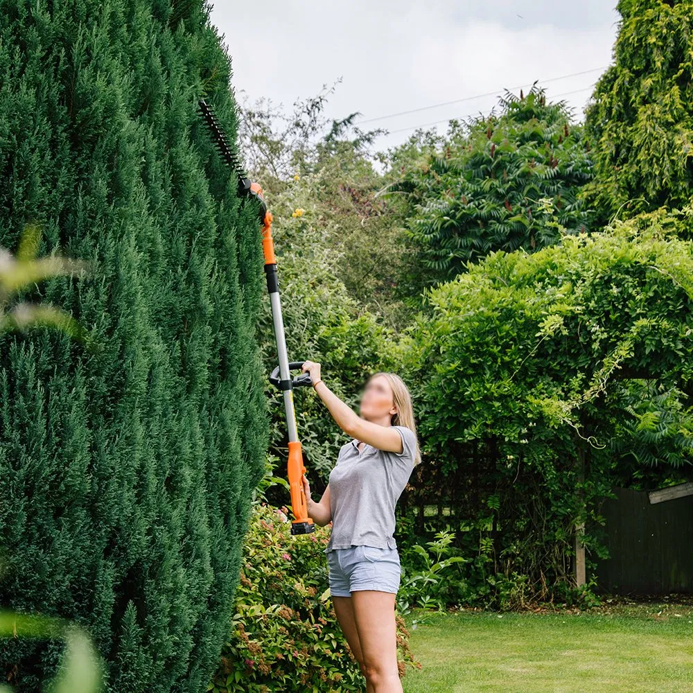 Lightweight Aluminium Tube Cordless Vertical Tree Long Pole Hedge Trimmer-Lh C41A