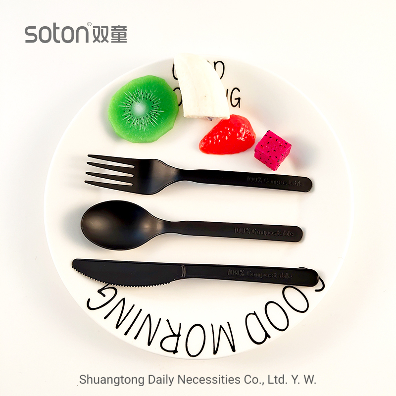 Eco-Friendly Cpla Spoon Fully Compostable Cpla Biodegradable Spoon