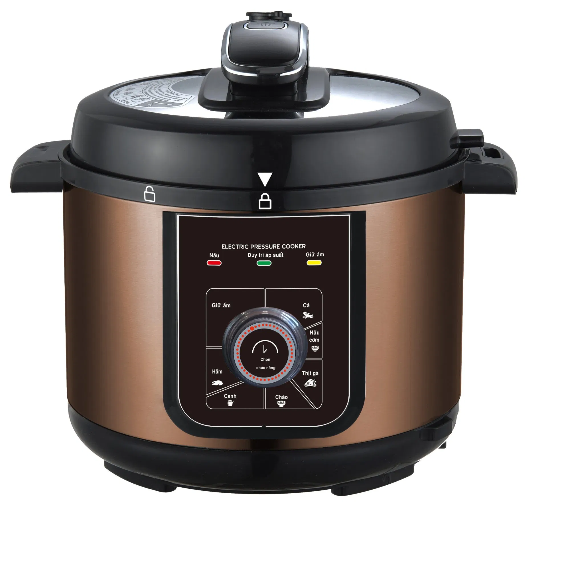 Multi Purpose Electric Pressure Cooker with Yogurt Making and Slow Cook Options