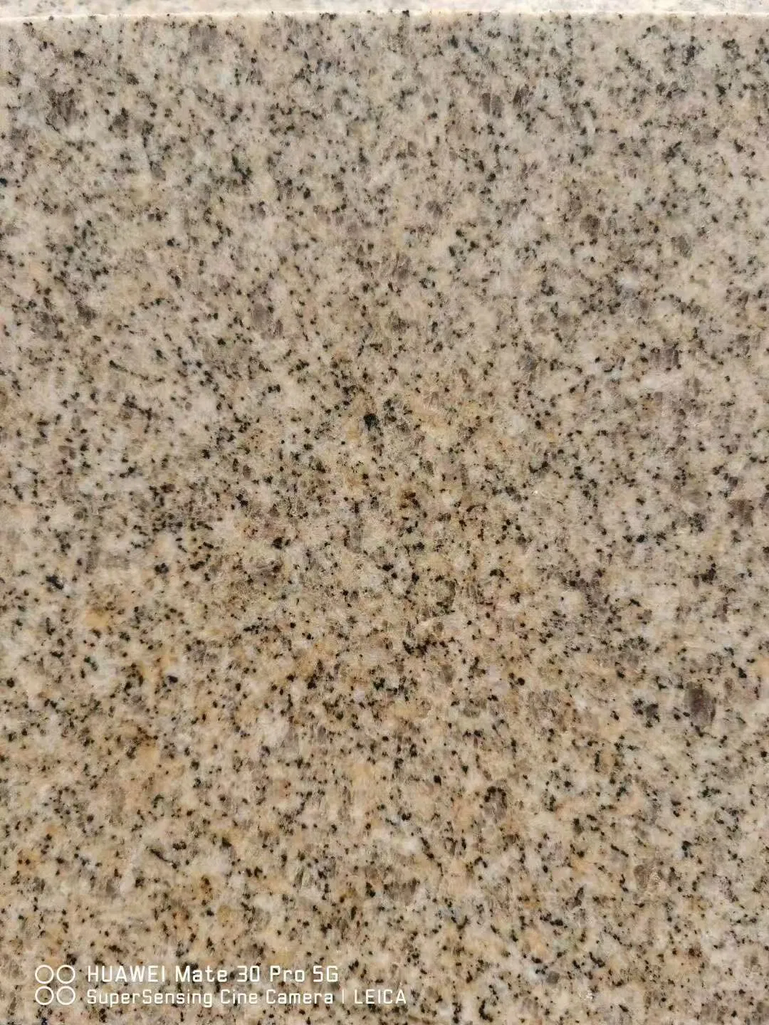 China Yellow Granite Panels for Exterior Wall