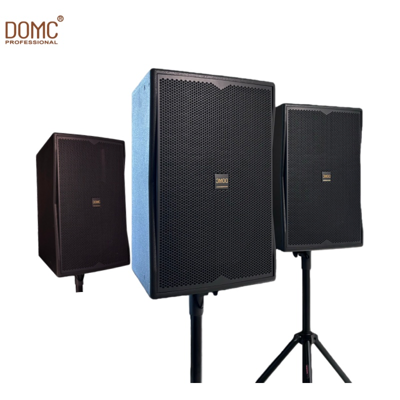 Domc K210 10-Inch Speaker with Powerful Bass and Clarity