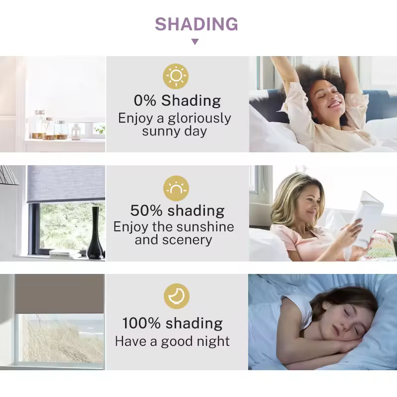Smart Motorized Window Roller Blinds for Modern Homes