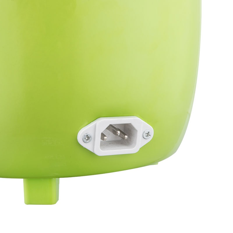 2L Automatic Electric Rice Cooker with Different Flower Patterns