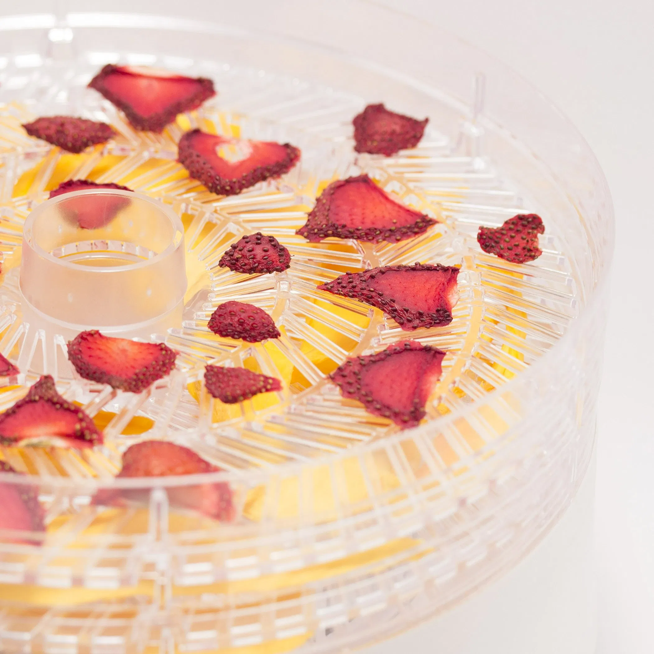 5 Layers Trays Adjustable Easy Store Clean Healthy Snacks Jerky Food Dehydrator