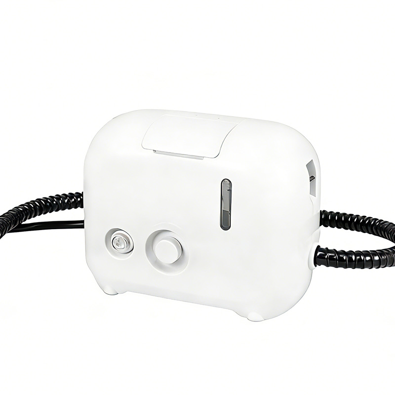 1500W Multi-Function Pressurized Portable Steam Cleaner