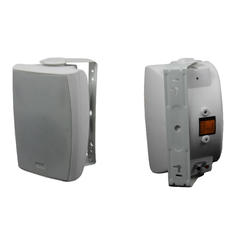 Paper Cone Wall Mount Speaker Ws-3205