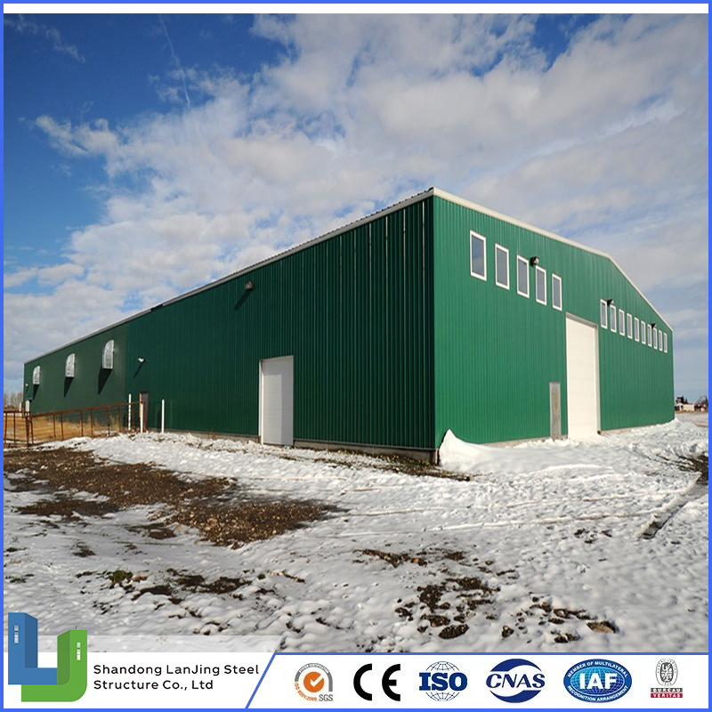 Professional Building Constructor Steel Structure Workshop Steel Structure House Prefab