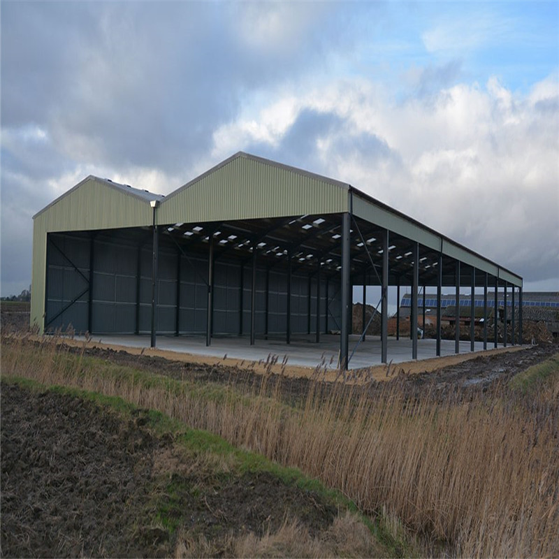 Prefab/Prefabricated Quality Long Span Steel Building with Certificates and Technicians