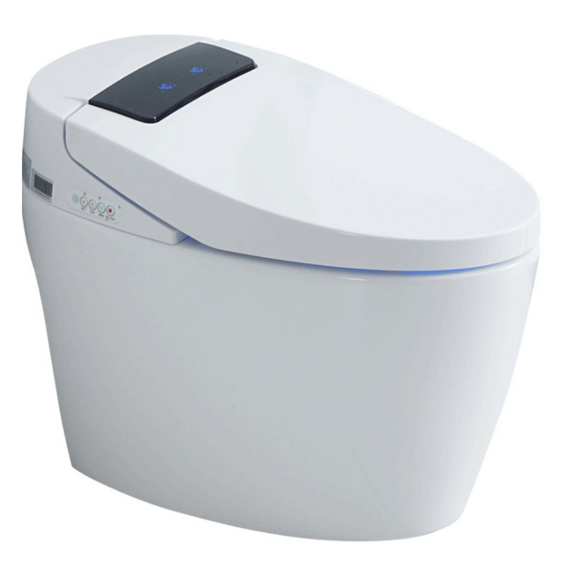 Household Water-Tank-Free One-Piece Toilet Automatic Flip Electric Multifunctional Instant Hot Toilet