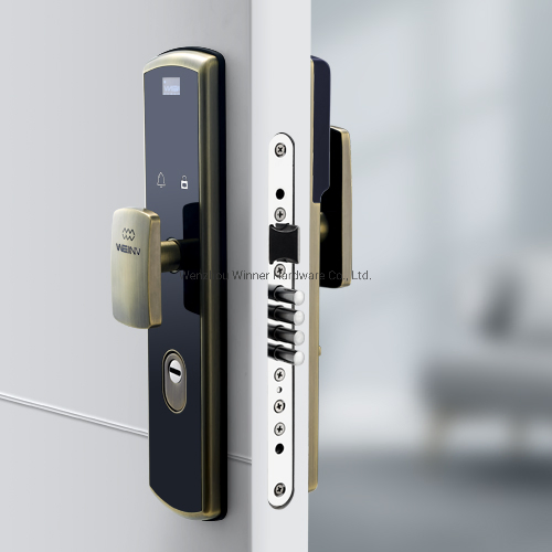 Digital Multi-Point Security Fingerprint Lock Smart Doors